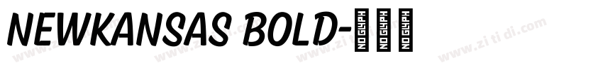 NewKansas Bold字体转换